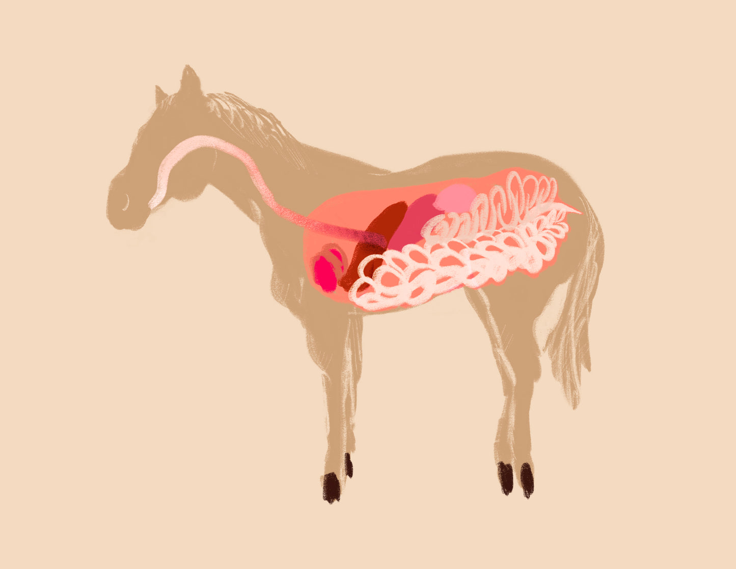 8x10 inch Art Print "Anatomical Horsey Friend"