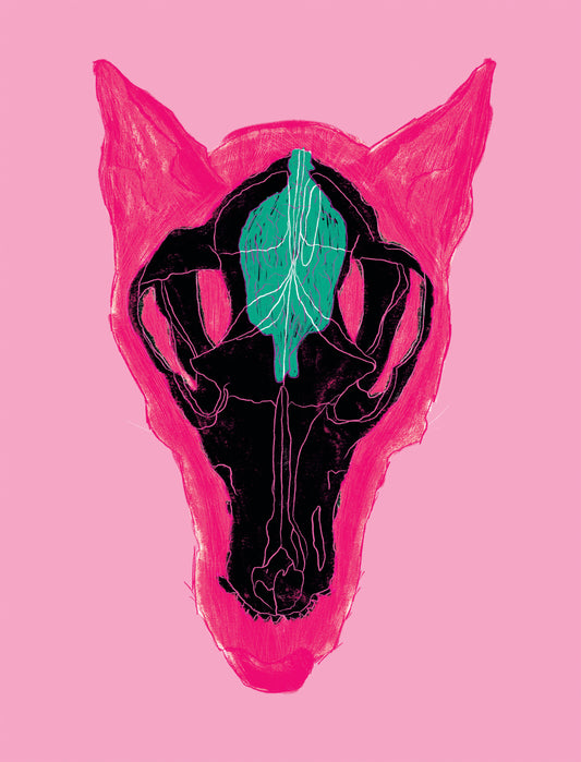 8x10 inch Art Print "Dog Head, Skull, Brain - Dorsal View"