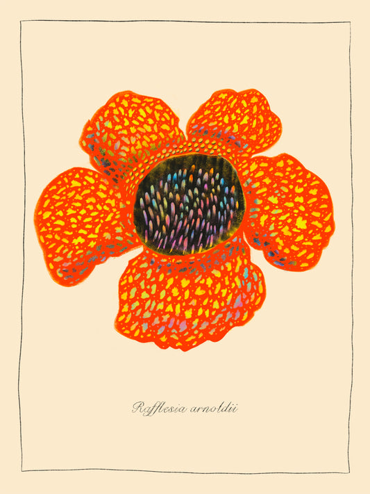 8x10 inch Art Print "Rafflesia Corpse Flower"