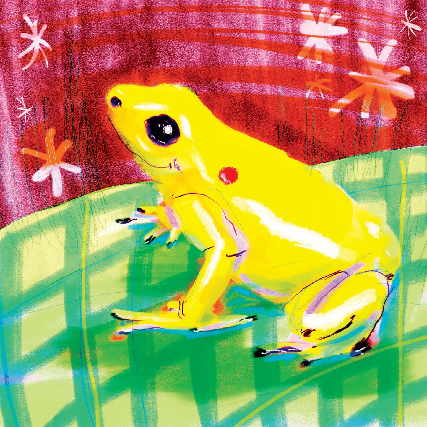 Possibly Poison Frog Sticker