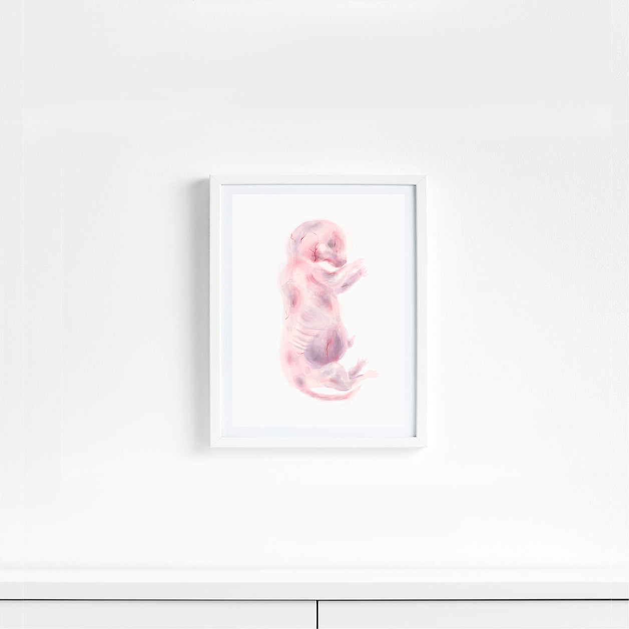 5x7 inch Fetus Art Print Cow, Cat, Pig, Mouse