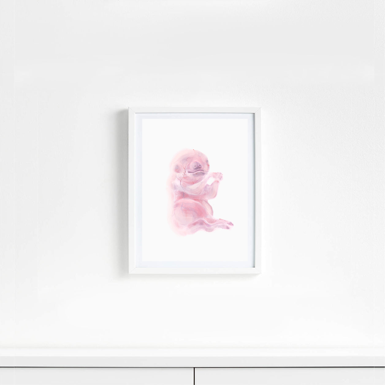 5x7 inch Fetus Art Print Cow, Cat, Pig, Mouse