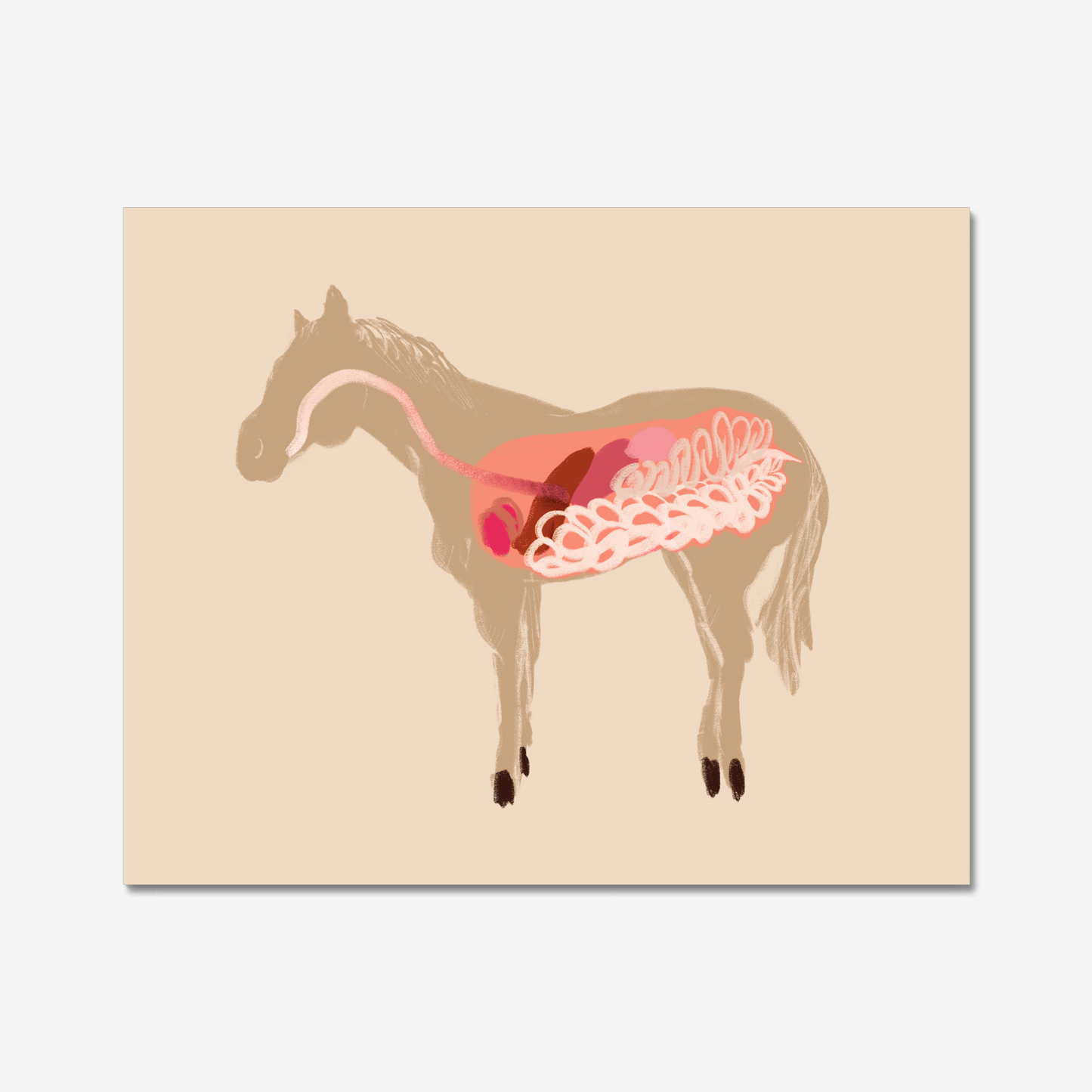 8x10 inch Art Print "Anatomical Horsey Friend"