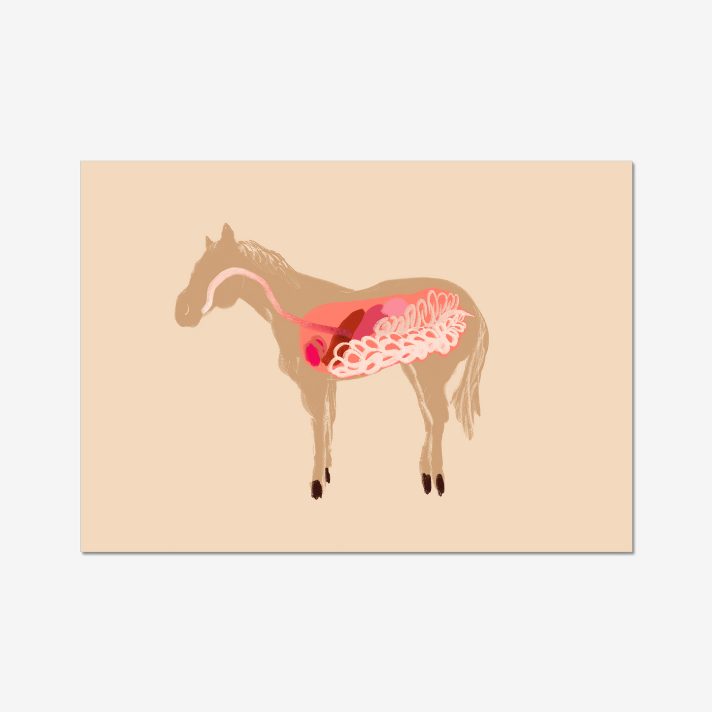 17x11 inch Art Print "Anatomical Horsey Friend"