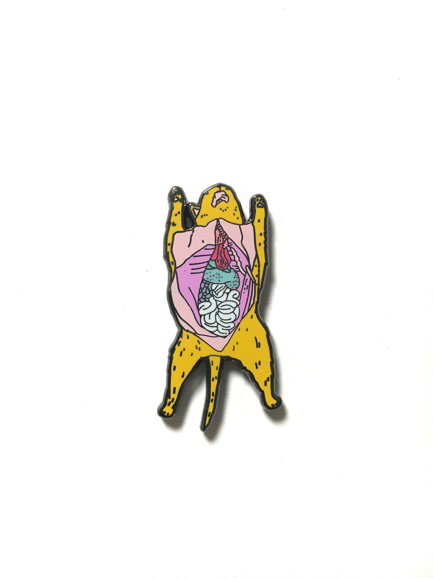 Dissected Cat Pin