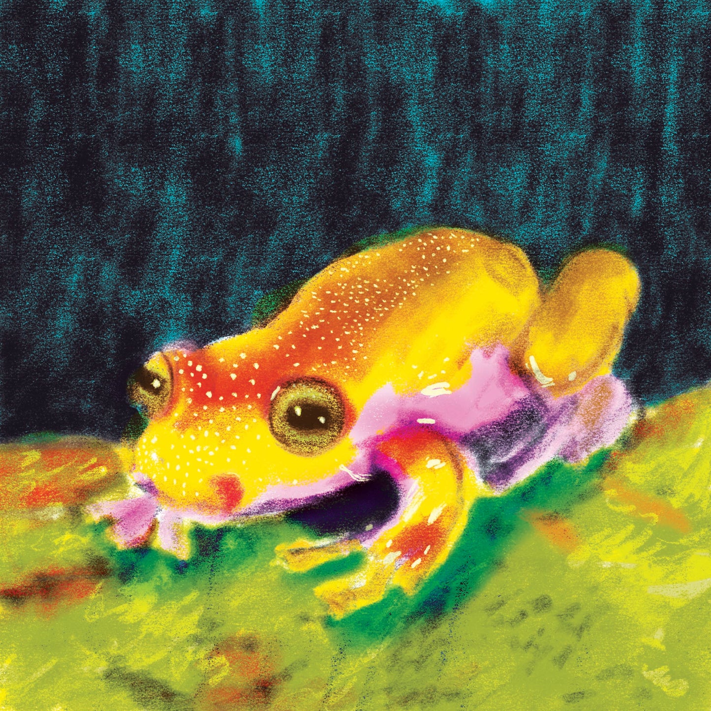 Possibly Poison Frog Sticker